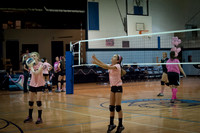 MS volleyball 2013