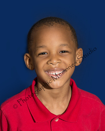 Brown Gavion  DSC_3621