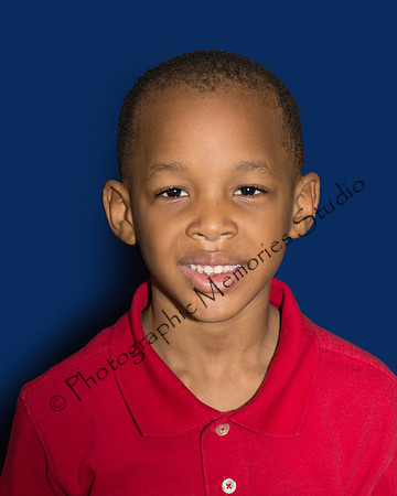 Brown Gavion DSC_3622