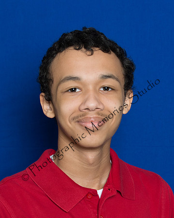 Bork Noah 2251