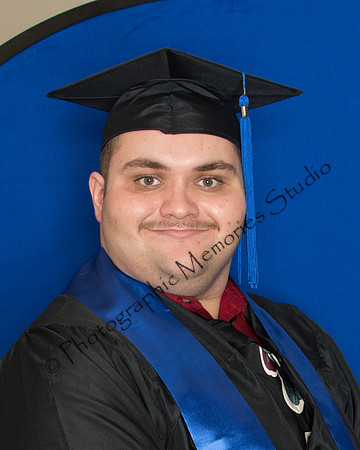 Bay Derek 2037